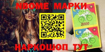 стафф Донской