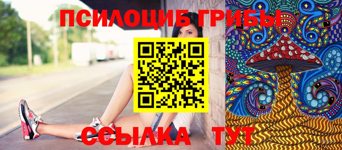 Галлюциногенные грибы Cubensis  Псилоцибиновые грибы мицелий  Нефтекамск  Вход с VPN 